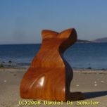 Buscando la luz de las primeras estrellas Concierto de Aranjurez 700 X 525, 117932  bytes